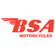 195x195 Bsa Motorcycles Brands Of The Download Vector Logos And