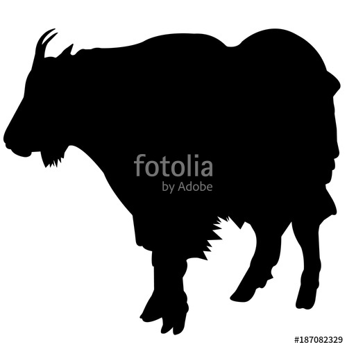 500x500 Mountain Goat Silhouette Vector Graphics Stock Image And Royalty