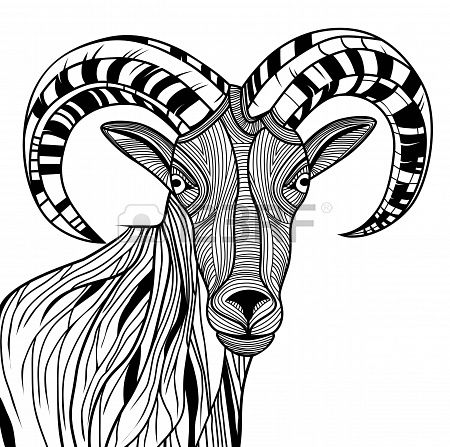 450x447 Ram Head Or Mountain Goat Line Art. Sheep Vector Animal