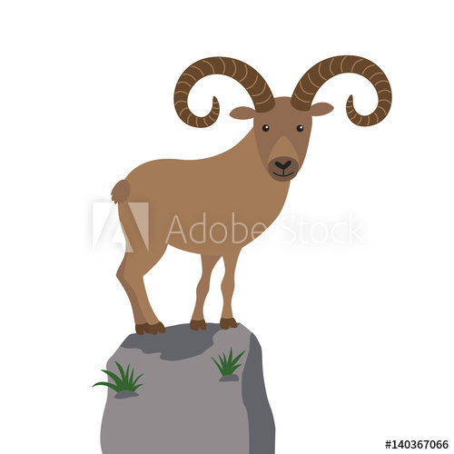 500x500 Mountain Goat Vector Illustration For Children
