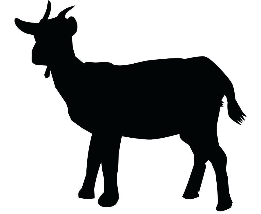 Mountain Goat Vector at GetDrawings | Free download