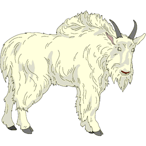 300x300 Horns Clipart Mountain Goat