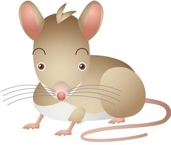 350x297 Free Mouse Vector 24 Clipart And Vector Graphics