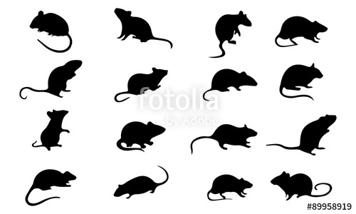 500x300 Mice Mouse Silhouette, Set Vector Animals Icons Stock Image And