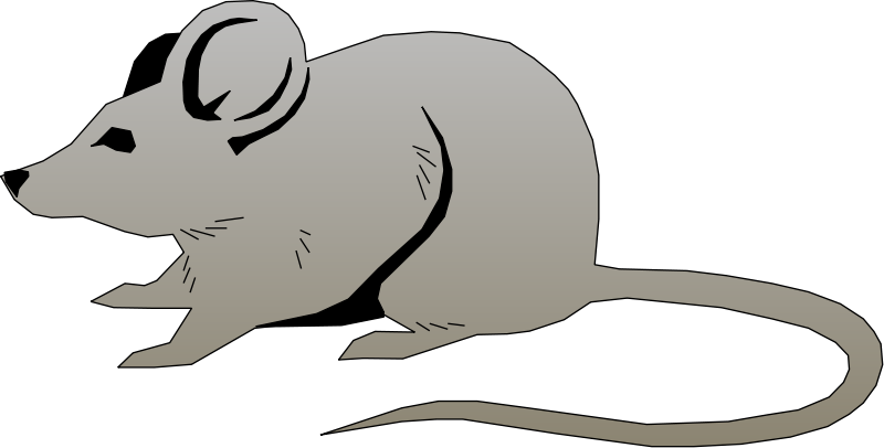 800x406 Mouse Free Vector 4vector