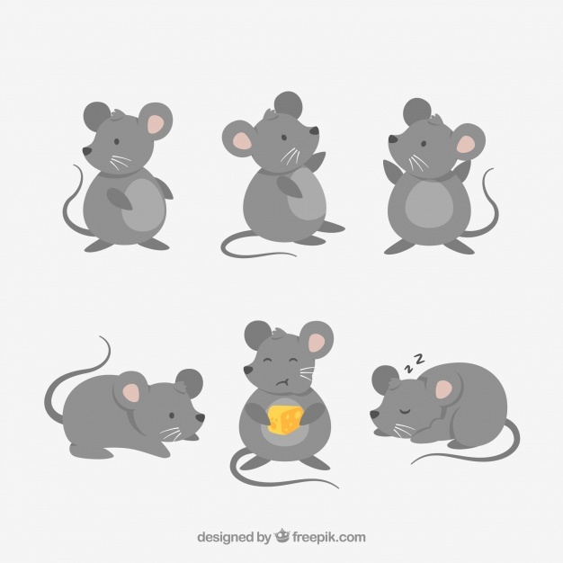 626x626 Mouse Vectors, Photos And Psd Files Free Download