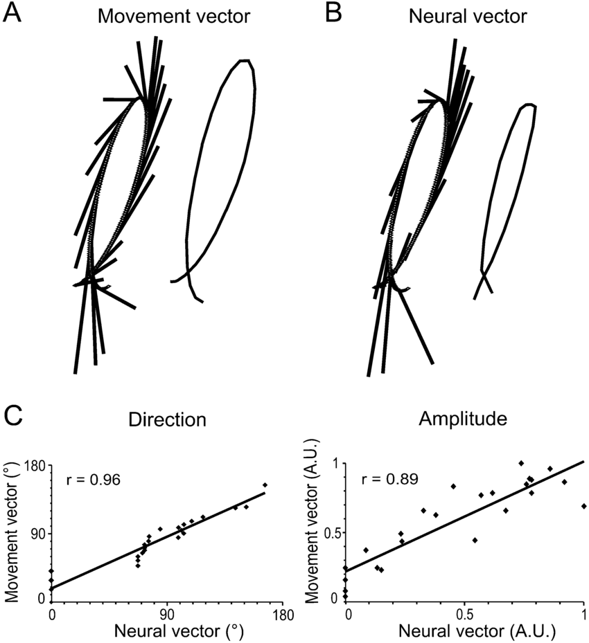 850x929 A C The Neuronal Population Vector Model. A Left The Movement