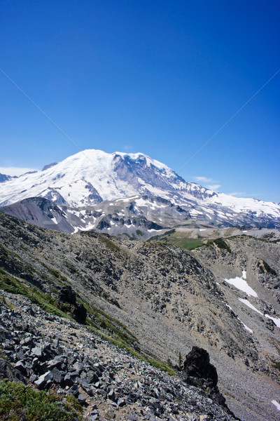 400x600 Mount Rainier National Park Stock Photos, Stock Images And Vectors