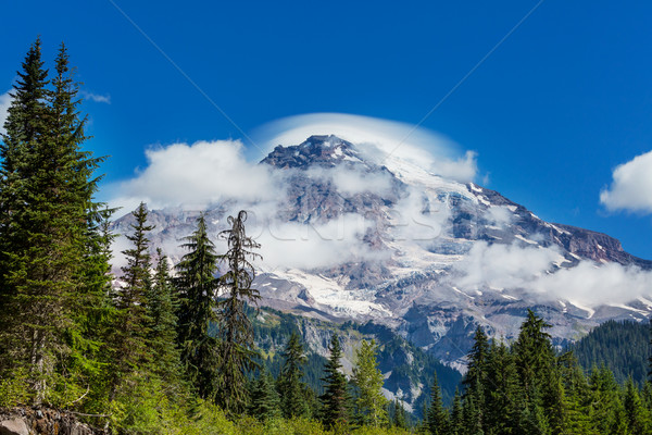 600x400 Mt Rainier Stock Photos, Stock Images And Vectors