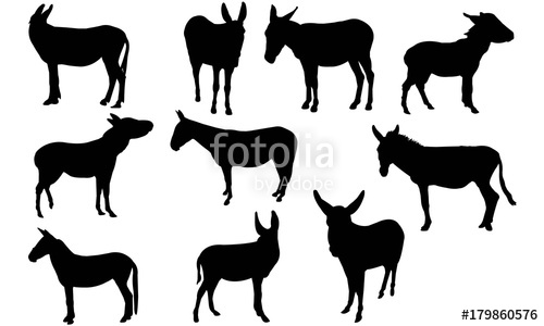 500x300 Mule Silhouette Vector Graphics Stock Image And Royalty Free