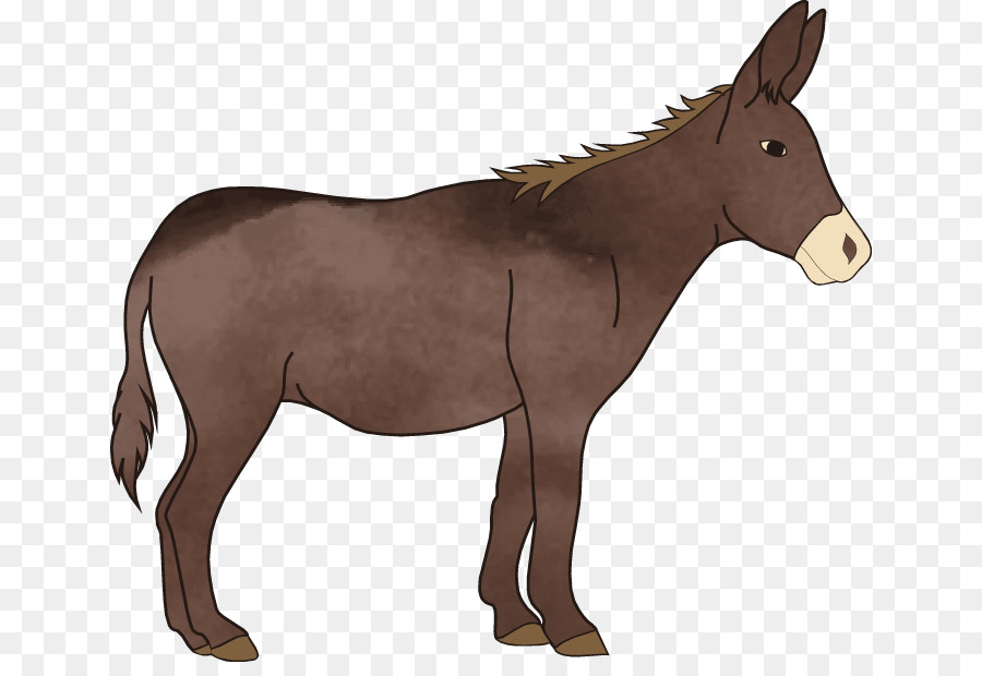 900x620 Mule T Shirt Pony Donkey