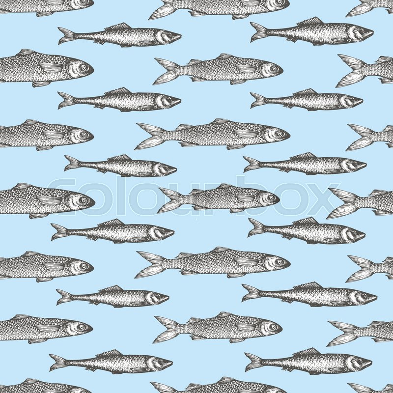 800x800 Hand Drawn Sketch Seafood Background. Vector Seamless Pattern With