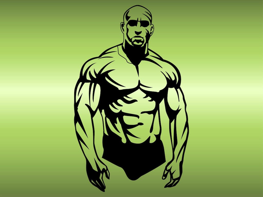 1024x768 Muscular Man Vector Vector Art Amp Graphics