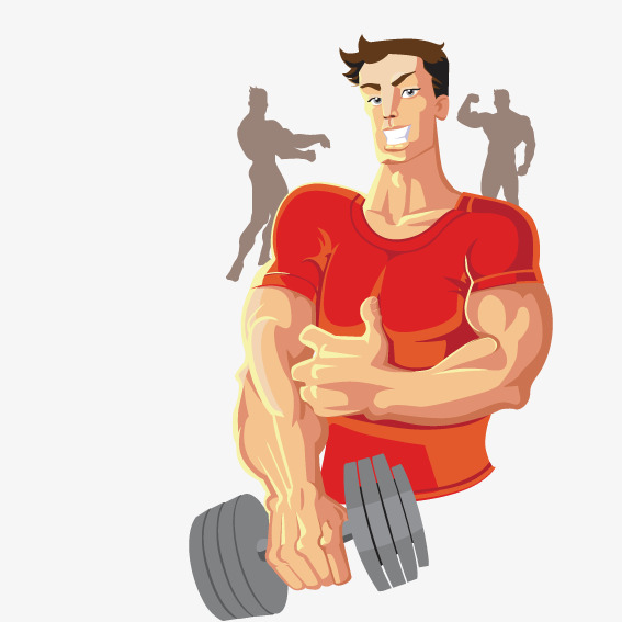 Muscle Vector at GetDrawings | Free download