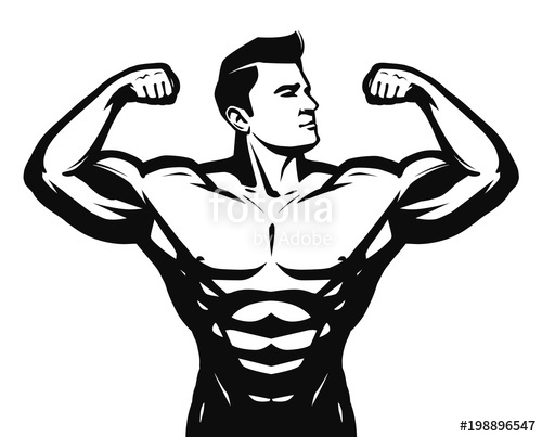 Muscle Vector at GetDrawings | Free download