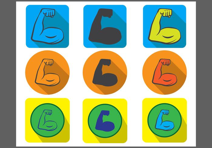 700x490 Muscle Vector Icon