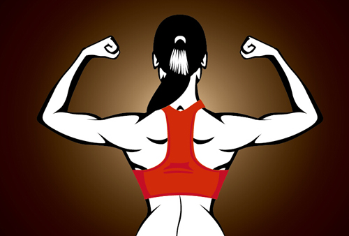 500x338 Back Muscle Woman Vector Free Download