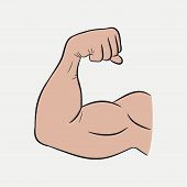 170x170 Biceps Logo Color Icon Strong Arm Flexing Muscle Vector Poster Id