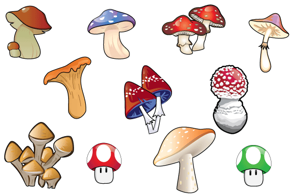 600x400 Free Free Vector Mushroom Psd Files, Vectors Amp Graphics
