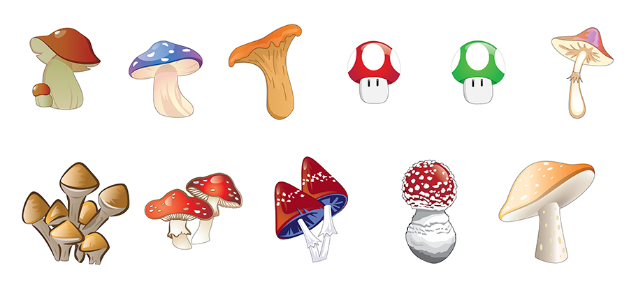 900x417 Mushroom Vector Pack By Pixelworlds