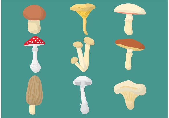 700x490 Mushroom Vectors