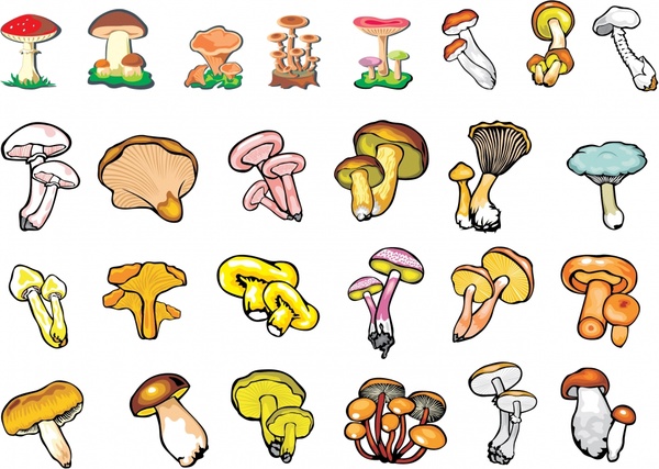 600x427 Mushrooms Vector Free Vector In Encapsulated Postscript Eps ( .eps
