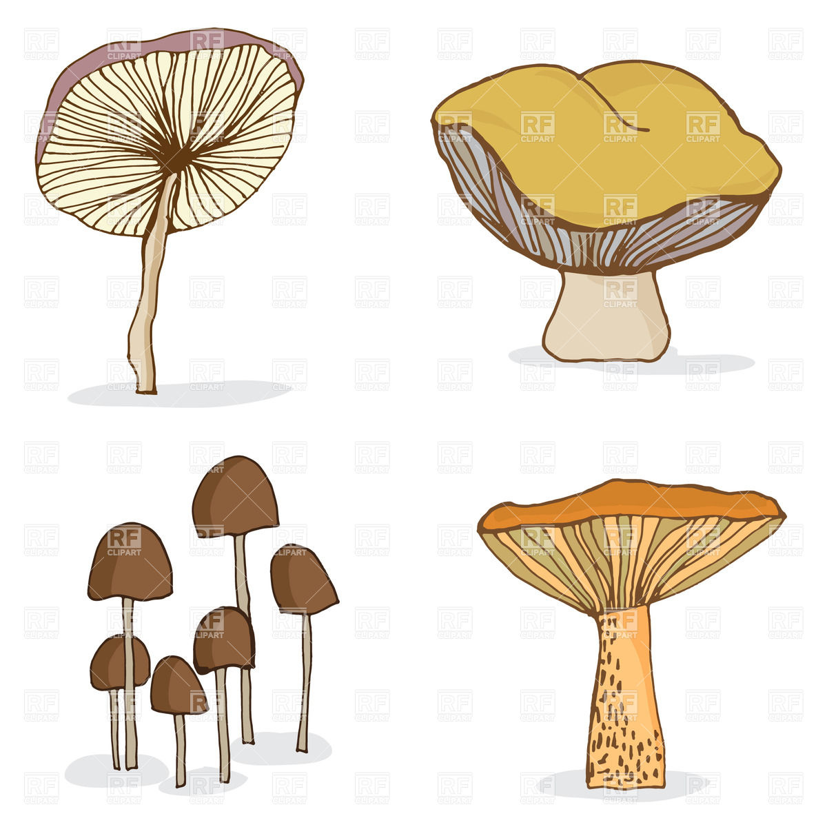 1200x1200 Set Of Cartoon Forest Mushrooms Vector Image Vector Artwork Of