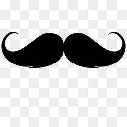 260x260 Mustache Png Images Vectors And Psd Files Free Download On Pngtree