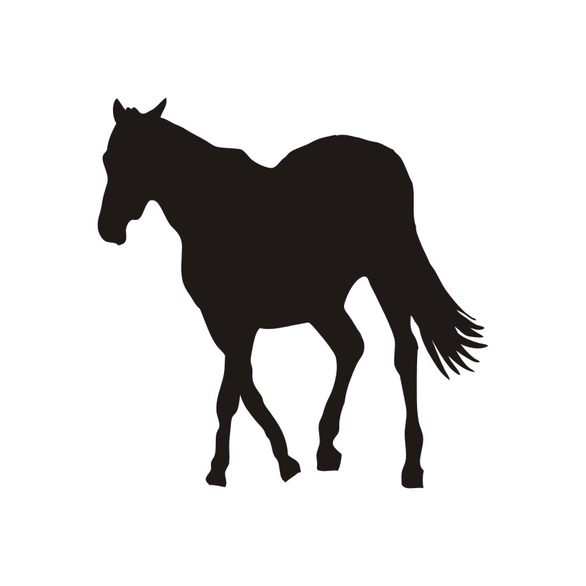 850x850 Horses Vectors 5 Vectors, Photos, Background, Psd Files