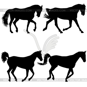 300x300 Set Animal Silhouette Of Black Mustang Horse