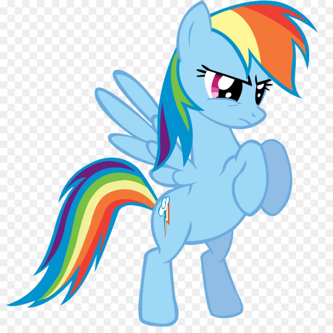 1080x1080 Png My Little Pony Rainbow Dash Tied Vector Shopatcloth