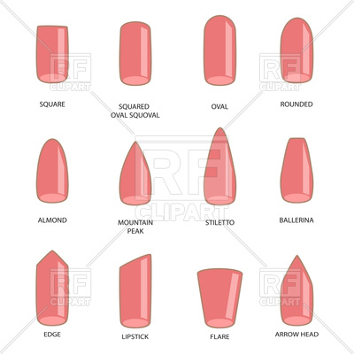 400x400 Set Of Different Shapes Of Pink Nails Vector Image Vector