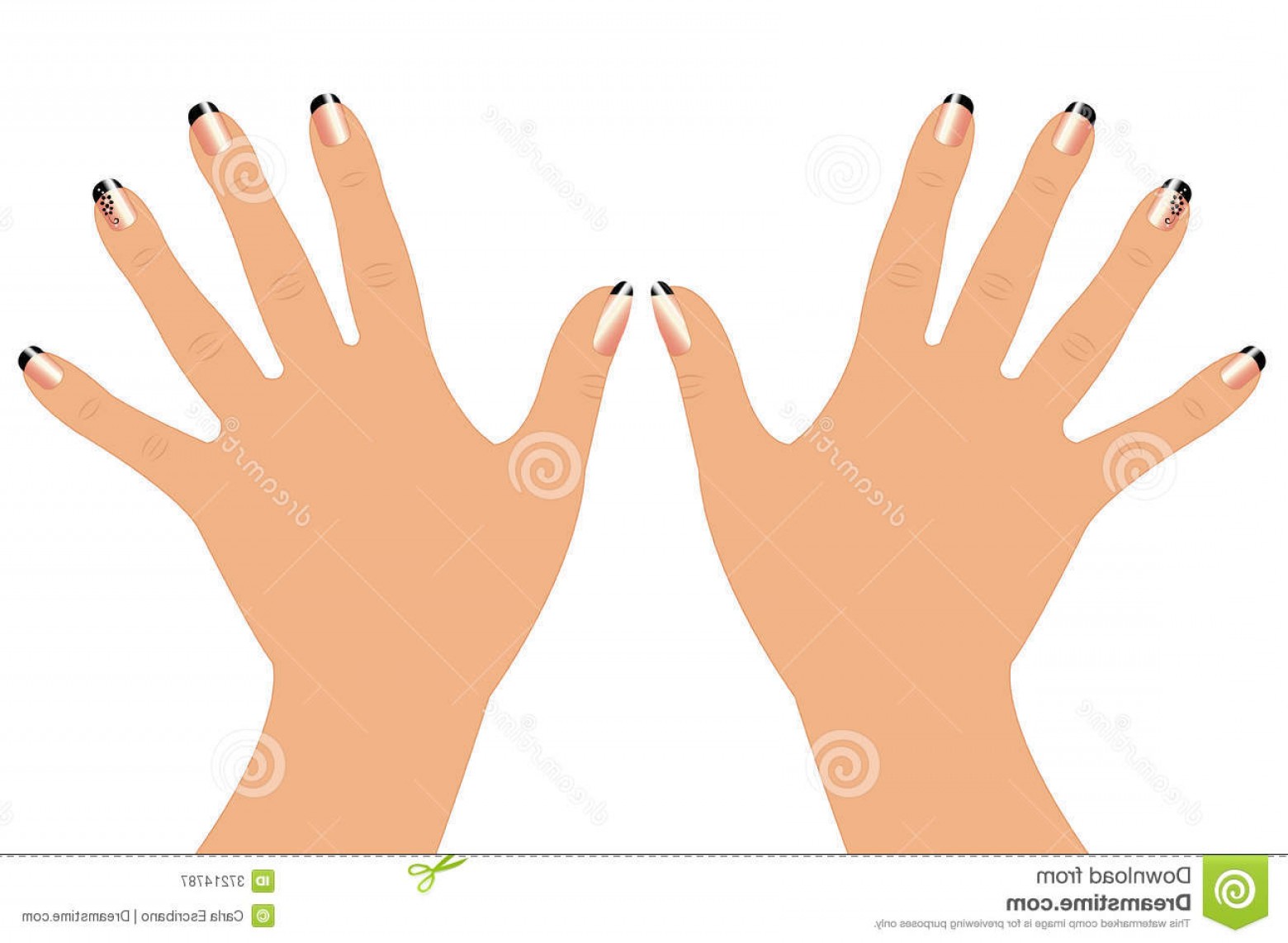 1560x1142 Royalty Free Stock Photography Woman Hands Nails Vector