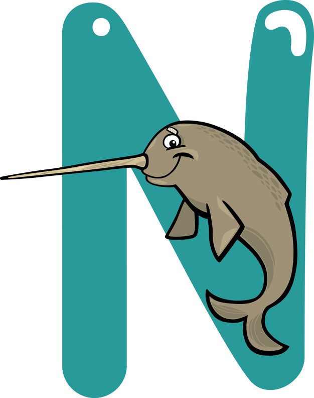 626x792 N For Narwhal Vector Premium Download