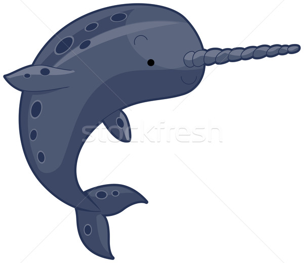 600x520 Narwhal Vector Illustration Lenm ( 489447) Stockfresh