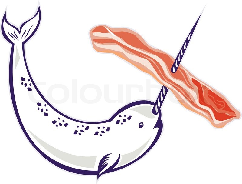 800x607 Narwhal Whale Stringing Bacon Stock Vector Colourbox