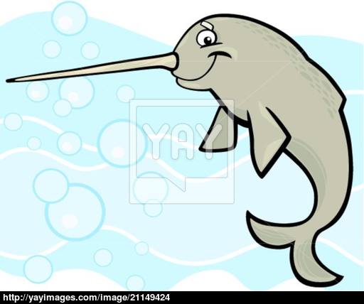 512x428 Cartoon Narwhal Vector