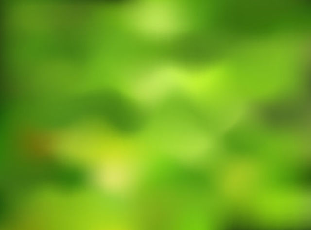 640x474 Free Vectors Blurry Green Nature Background Background Vector