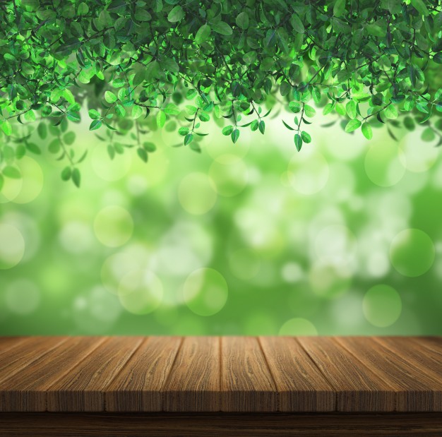 626x619 Nature Vectors, Photos And Psd Files Free Download