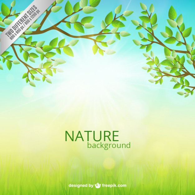 626x626 Nature Background Vector Free Download