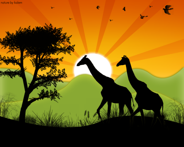 600x480 Nature Vector By Kalemgfx22