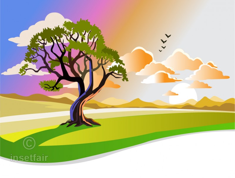 800x608 Colorful Nature Vector Illustration
