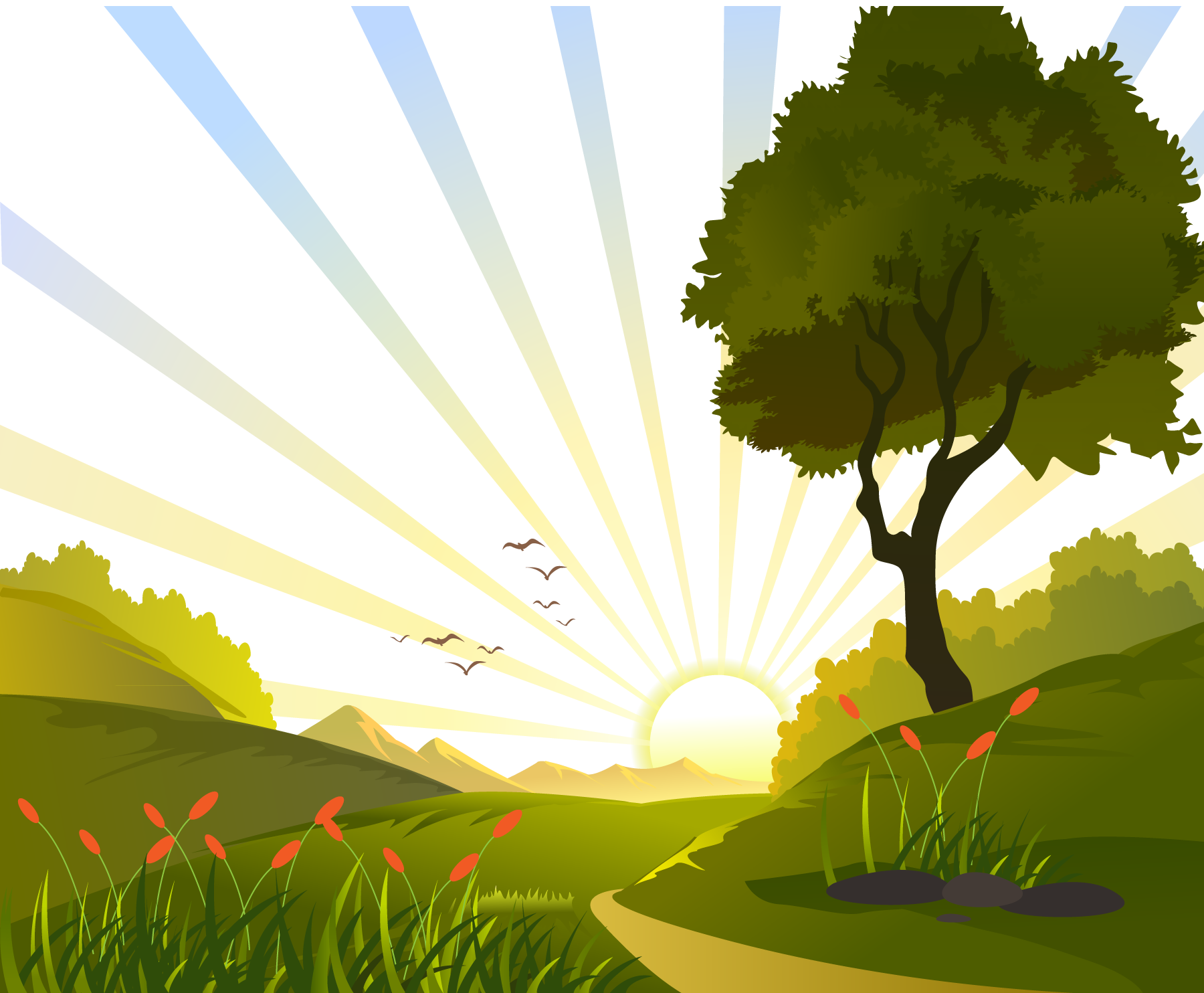 1800x1484 Collection Of Free Nature Vector Sunrise. Download On Ubisafe
