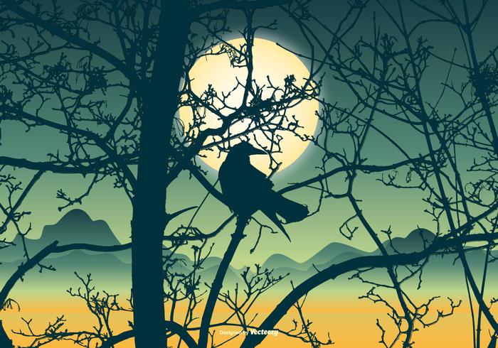 700x490 Beautiful Nature Scene