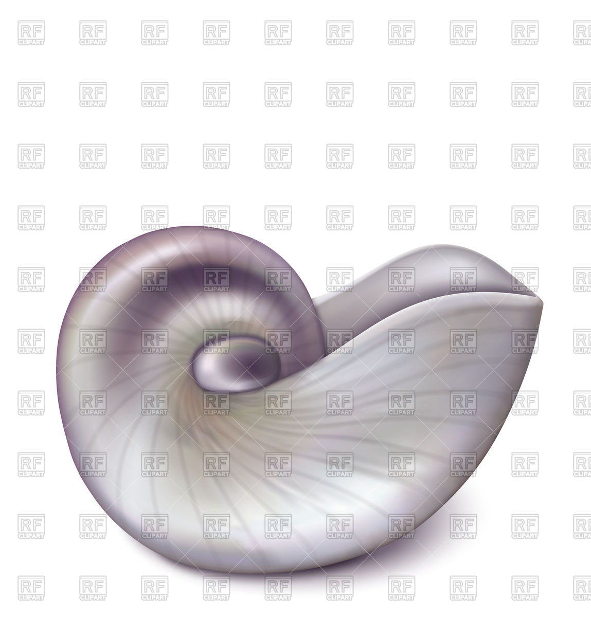 1149x1200 Nautilus Sea Shell Vector Image Vector Artwork Of Plants And