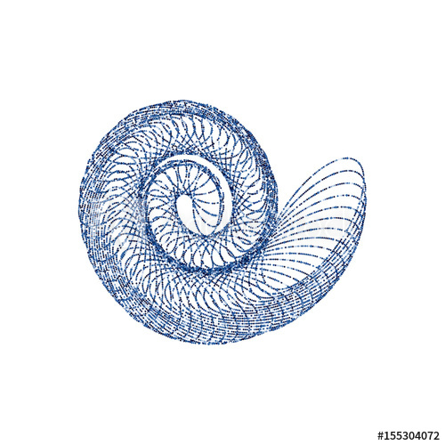 500x500 Nautilus Vector Illustration