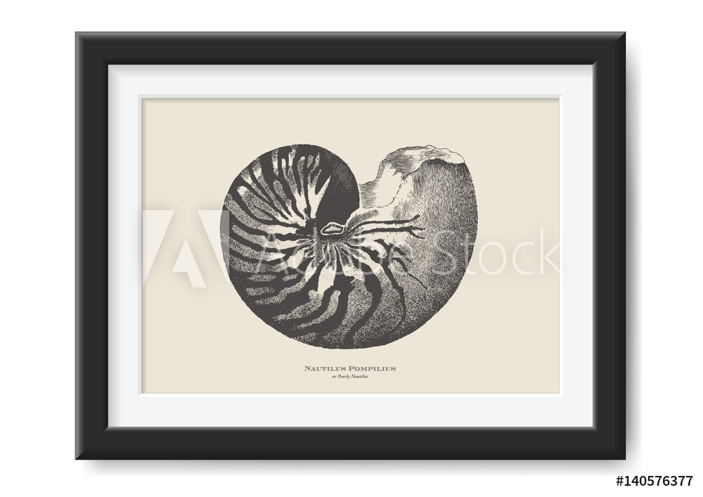 1000x707 Photo Amp Art Print Retro Vector Illustration Vintage Drawing Of A