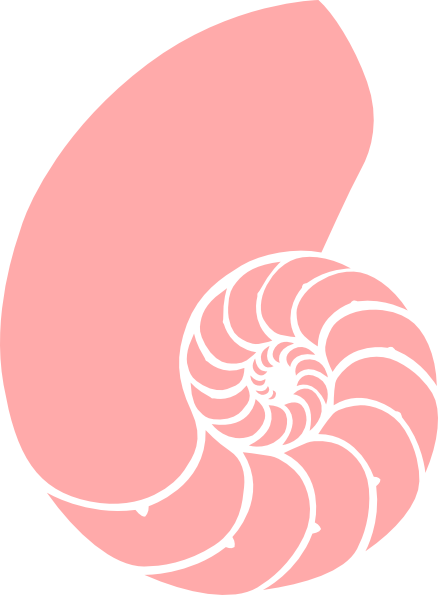 438x595 Pink Nautilus Shell Clip Art