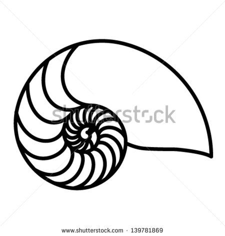 450x470 Vector Nautilus Shell Free Vector Download (189 Free Vector) For
