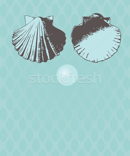 500x600 Vector Nautilus Vector Illustration Maria Cherevan (Mcherevan